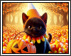 🍬 Halloween Kitten BG