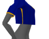Blue and Gold Top