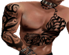 {B}Tiger Tattoo (muscled