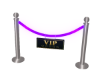 VIP -NO POSE- PURPLE