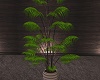 (Set) Plant 6