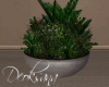 De* plant