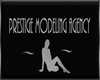 Prestige Modeling Agency