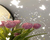 Aesthetic BG 900