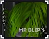 [LyL]Mr Blips Plant 1