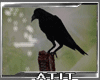 [AT]Crow terror