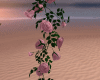 GP*WDD Flowers rose