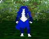 Blue Wolves Feet F V1