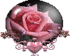 pinkrose in crystal