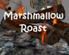 Marshmallow Roast