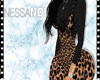 Sassy Cheetah