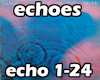 PF Echoes Live 1/2