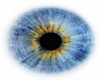 blue flower eyes