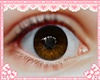 J! Kid Eyes Honey