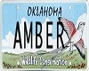 {V} Amber Licence Plate