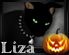 L- Blacky the Cat