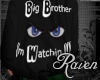 *R* Big Brother