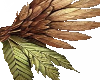 forest wings