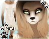 [Pets] Kimi Furry | Abs