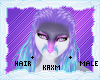 ꨄStacy Hairꨄ