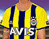 L◄ Fenerbahçe Forma