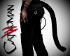 Catwoman Animated Tail