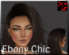 Ebony Chic Hair