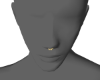 DRV. Anyshape Septum M