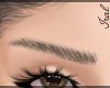 𝓘 My Brows