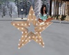 Star Yard Light