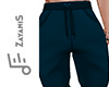 ZS JOGGER MOLETON