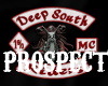 PS:DeepSouth Prospect-F