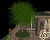 Queen~Tree with Brick