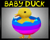[TW] Baby Duckling