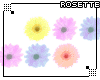[RZ]Flower Line (3)