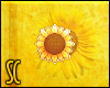 S|Sunflower SM