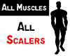 All Muscles Scalers