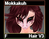 Mokkakuh Hair F V3