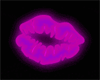 B* Purple Kiss st2