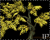 Tree Spring Yellow Flowr