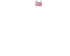 Q - 2N1 CC FLAP PINK/WHT