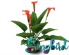 ~SB Bali Lily Orange