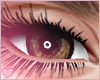 Halo - Brown Eyes