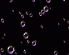 Falling Bubbles