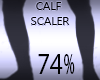 Calf Width Resizer 74%