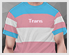 Trans Pride Shirt