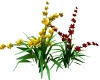 Red &yellow flowers,
