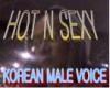 korean male voice box