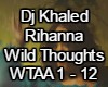 Wild Thought-Rihanna