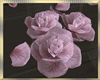 Rose  ~  Petals